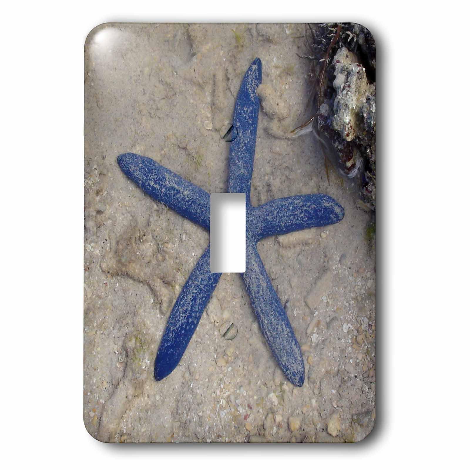 Funda de estrella de mar azul para interruptor de luz 3dRose lsp_22794_1 decoración playa de salón