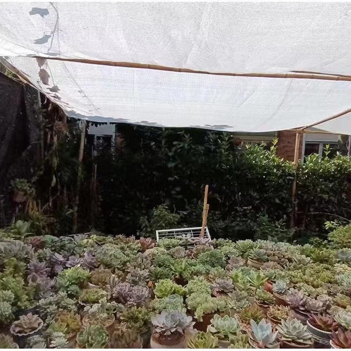 Heavy Du Gewebeplane mit Ösen für Garten, Gewächshaus, Scheunen, Zwinger, Terrasse, Sonnencreme und Frostschutzmittel, 80 % Weiß (13 x 14 m)