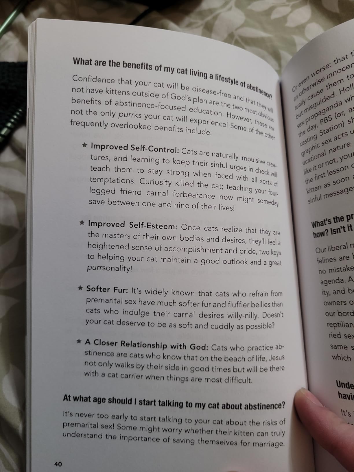 2/mo Finance How to Talk to Your Cat About Gun Safety And Abstinence, Drugs, Satanism, and