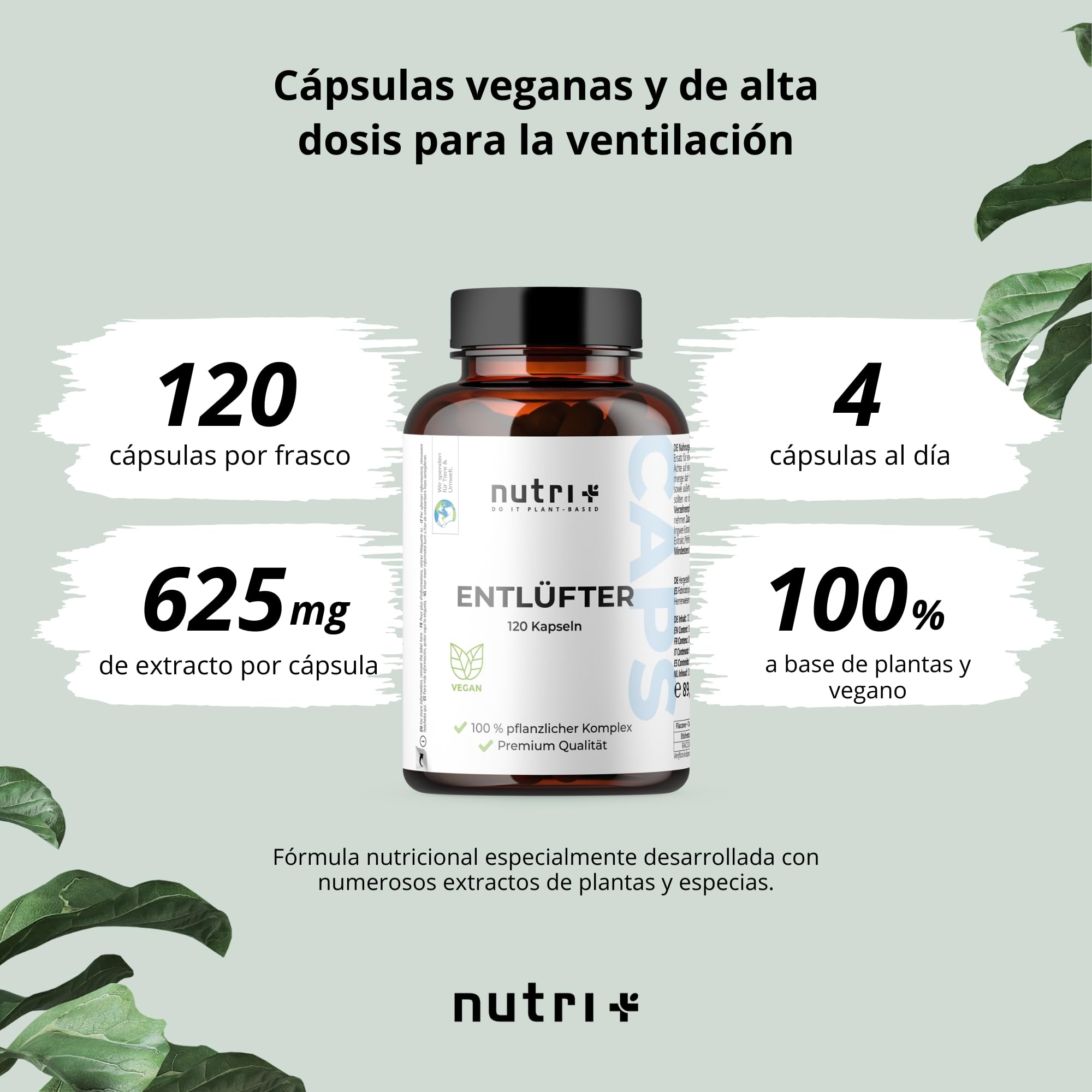Nutri + Entlüfter 120 Cápsulas - para Gases e Hinchazón abdominal - Relajación gastrointestinal - Comino negro, Anís, Cúrcuma, Jengibre, Hinojo