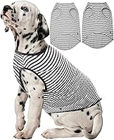 Vista 13 de Camisas ligeras para perros, ropa de algodón fresca para chihuahuas para perritos pequeños extra, ropa transpirable para el sol para perritos Blanco