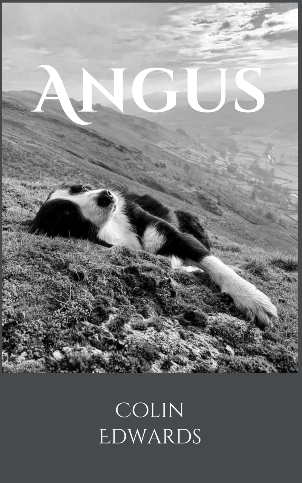 Angus