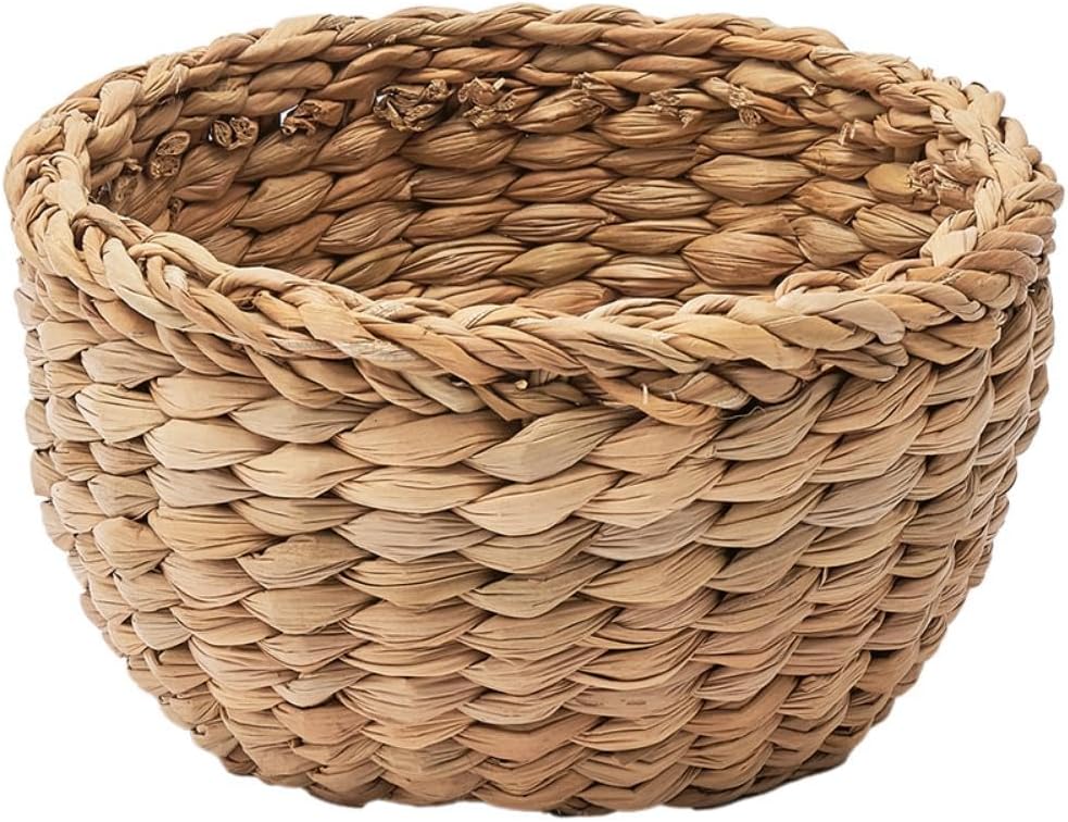 Foyer 5A00028 BB Hogranas Shallow Earl Diameter 0.6 x H3.5 inches (15 mm) x H9