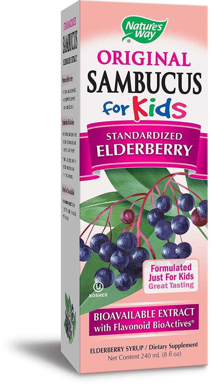 Nature’s Way Sambucus Elderberry Immune Syrup for Kids*, Immune Support*, with Elderberry Extract, Echinacea & Propolis, Berry Flavor, 8 Fl Oz.