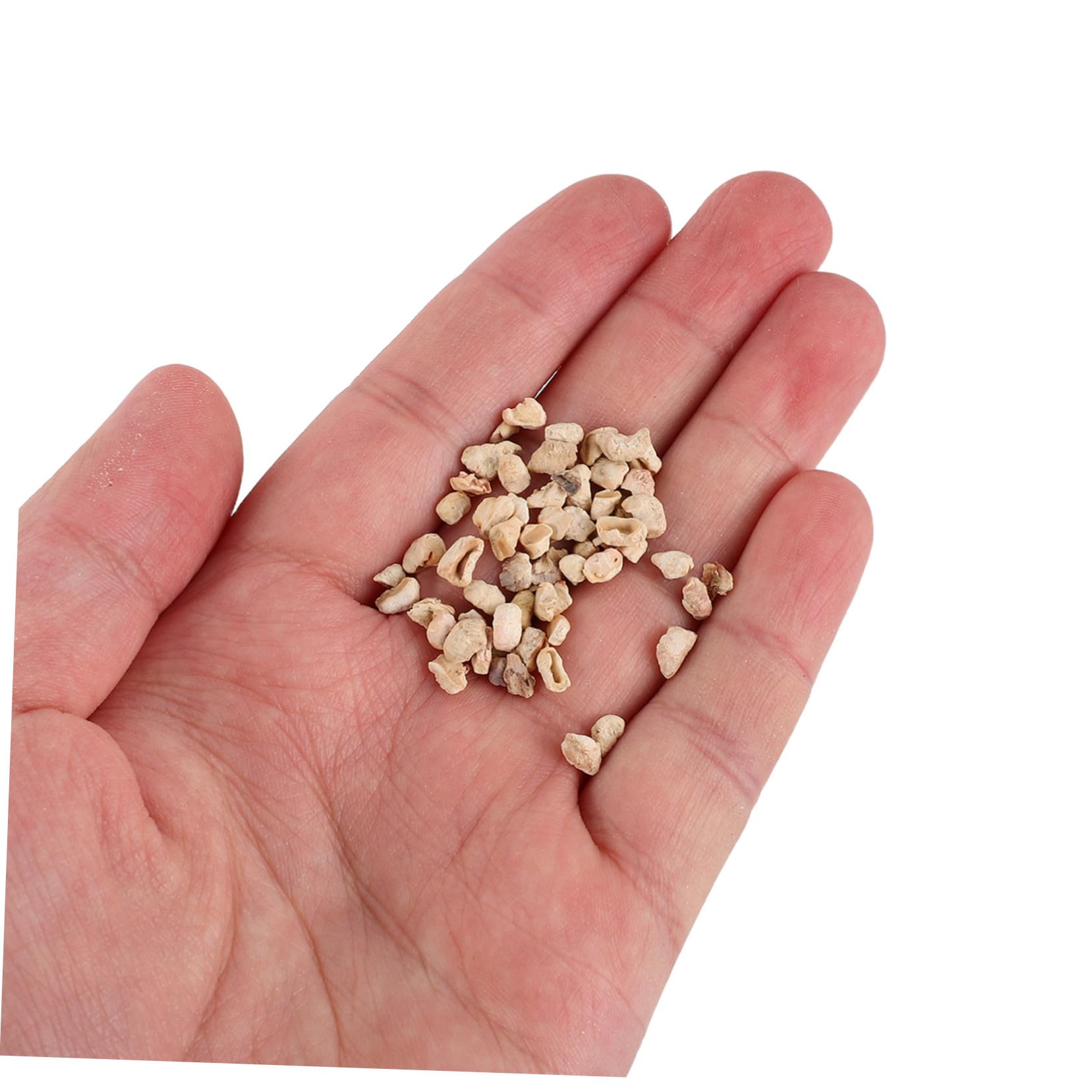 BESPORTBLE 1000g Lettiera di Mais Naturale Pannocchie di Mais per Piccoli Animali Materiale per Lettiera per Criceti e Conigli Decorazione per Habitat da Interno Facile da Pulire