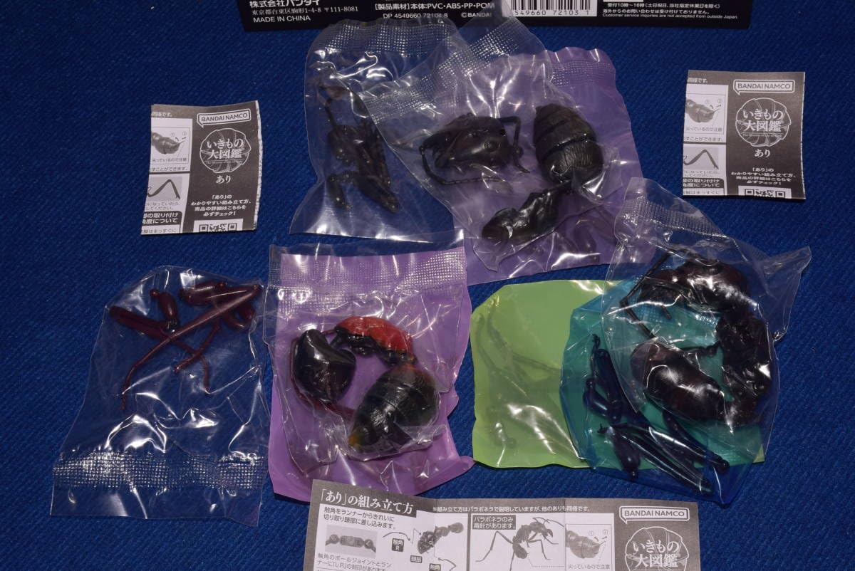 その他 kinapon Amazon.co.jp: Ikimono Encyclopedia Beetle 02, 5 Types, Full Comp