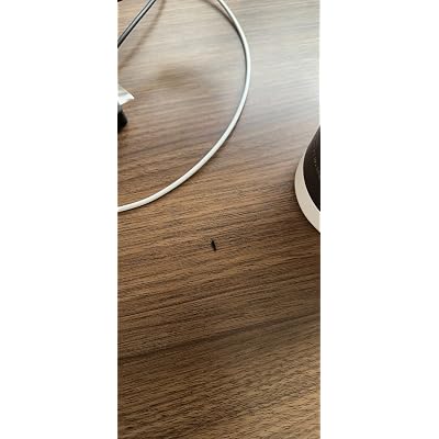 ubuy India