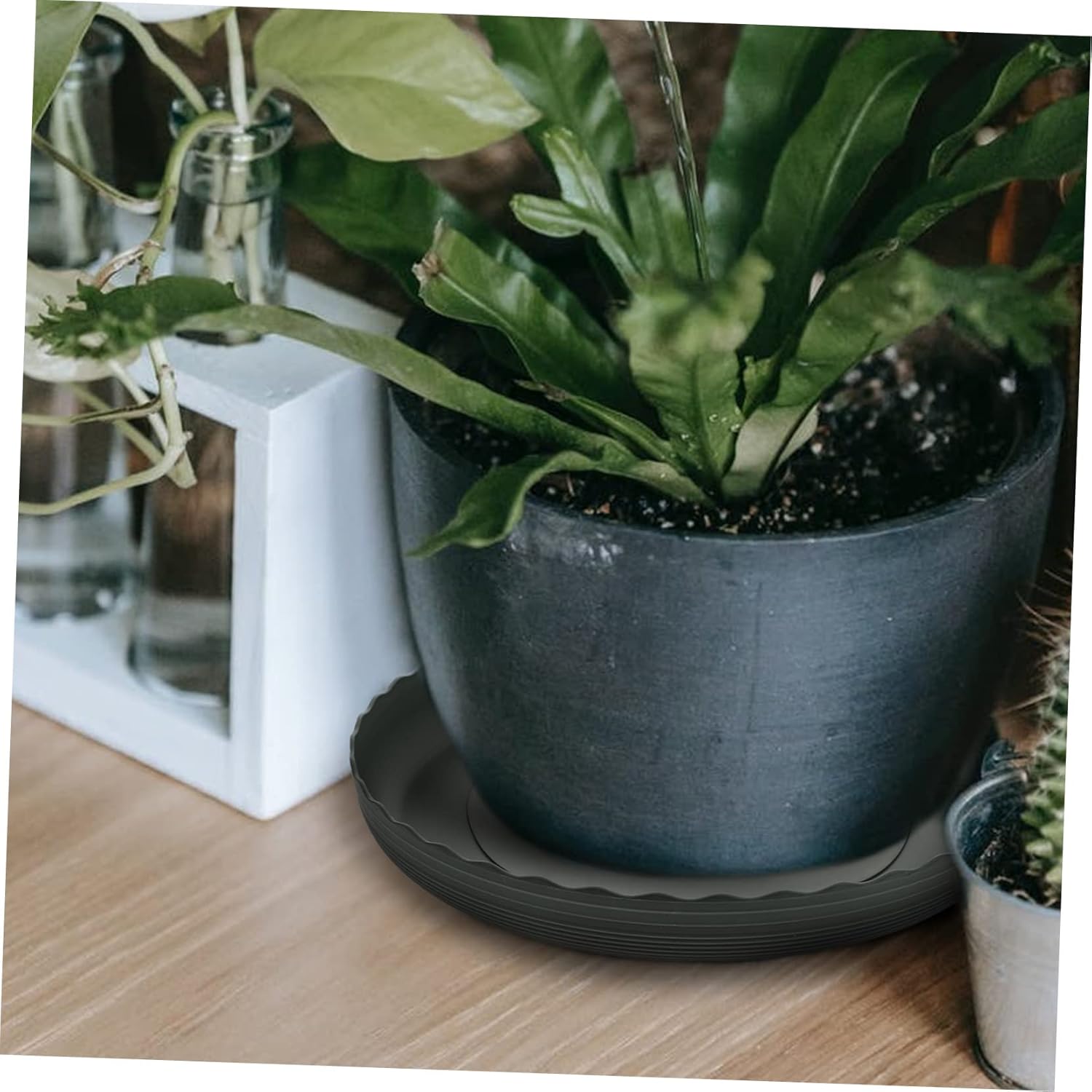 6pcs Water Storage Flower Pot Tray Drain Trays for Plants Home Flowerpot Plate