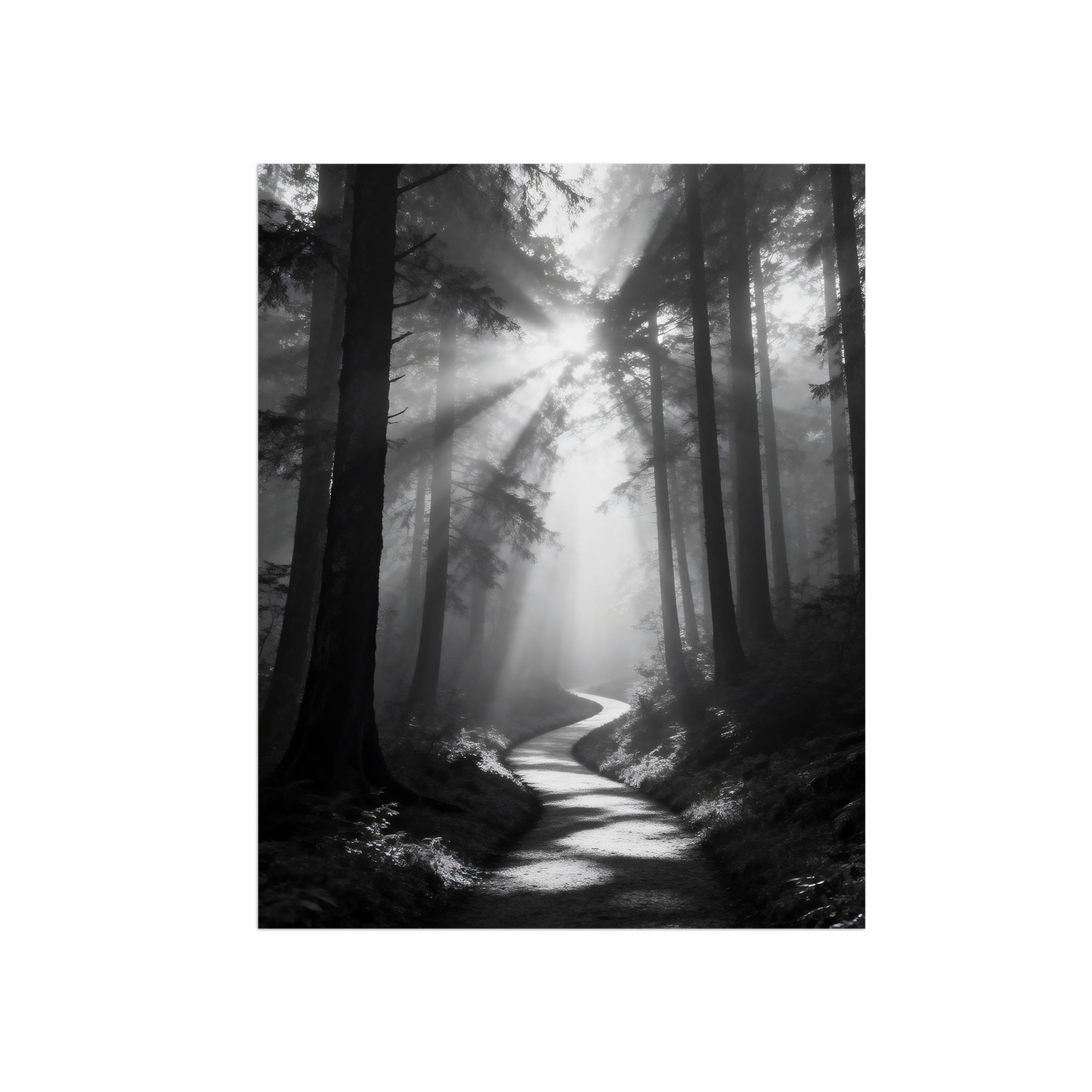 OZPWBVY Black and White Landscape Print Painting-Forest Path Sunshine 2-Minimalist Canvas Wall Art Picture for Home Decor 16x20in 40x50cm Unframed