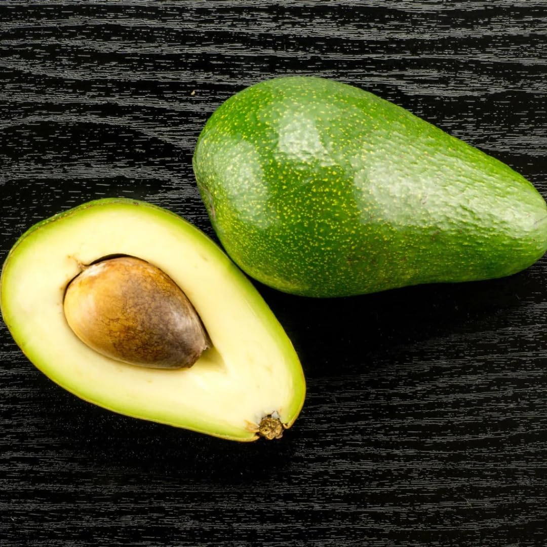 M-Tech Gardens Rare Avocado (" Fuerte " Butter Fruit/Persea americana, Seedling) Exotic 1 Live Fruit Plant (B07S444664) Amazon Price History, Amazon Price Tracker