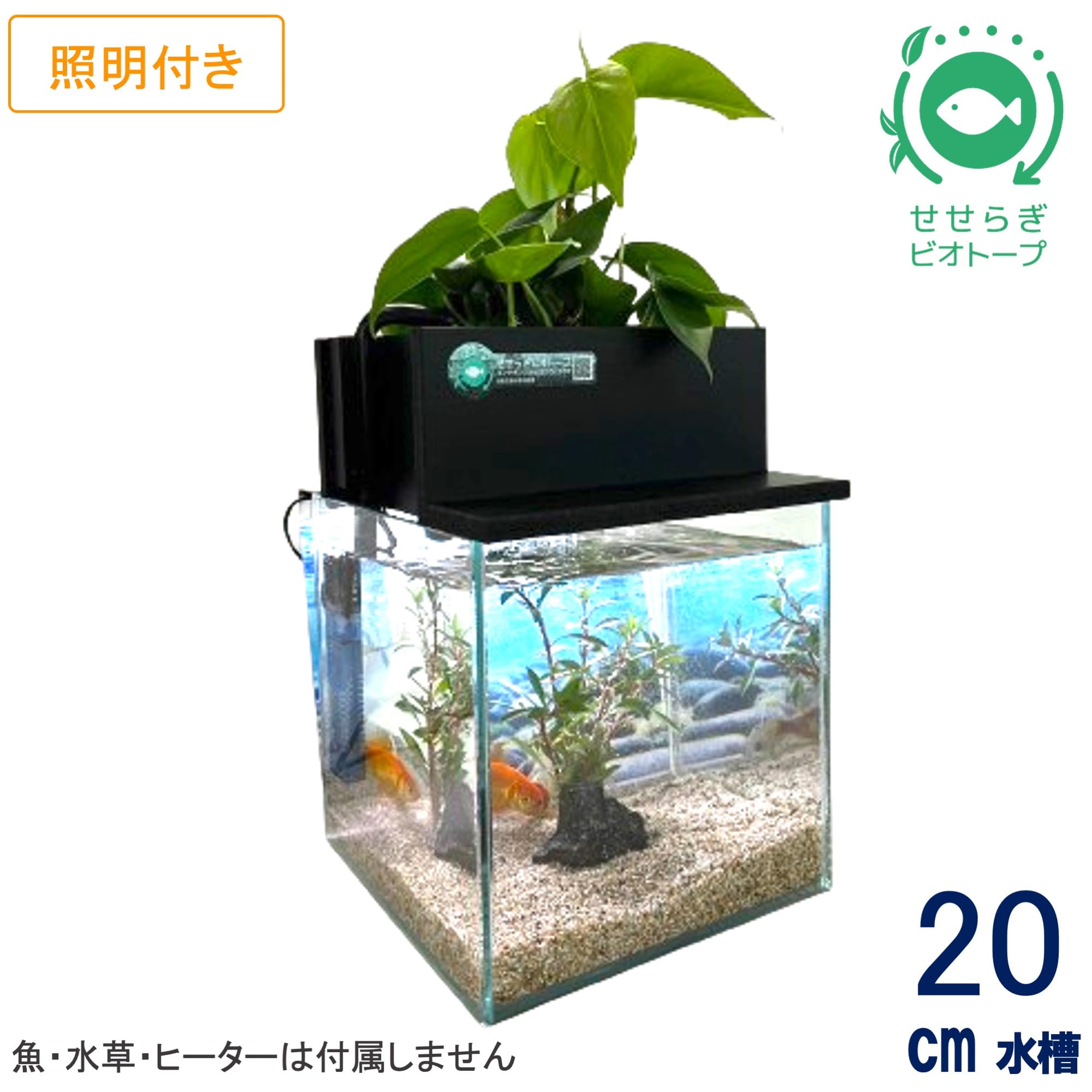 Amazon | せせらぎビオトープ 水替え不要【水槽セット】 20cm型 【色