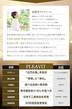 ドラゴンと炎の和風掛軸 imgrc0098488724.jpg