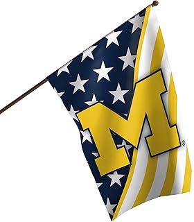 FOCO NCAA Unisex-Adult NCAA College Double Sided Team Logo Vertical Flag (40" x 28")
