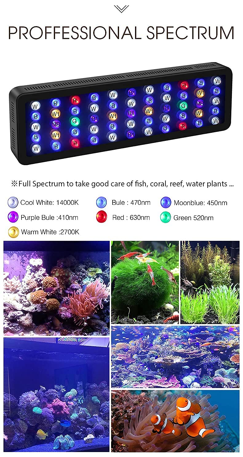 ブラックボックス　アクアリウムLEDライト 165W Amazon.co.jp: 【PSE技術基準適合】サンゴの育成と演色に特化