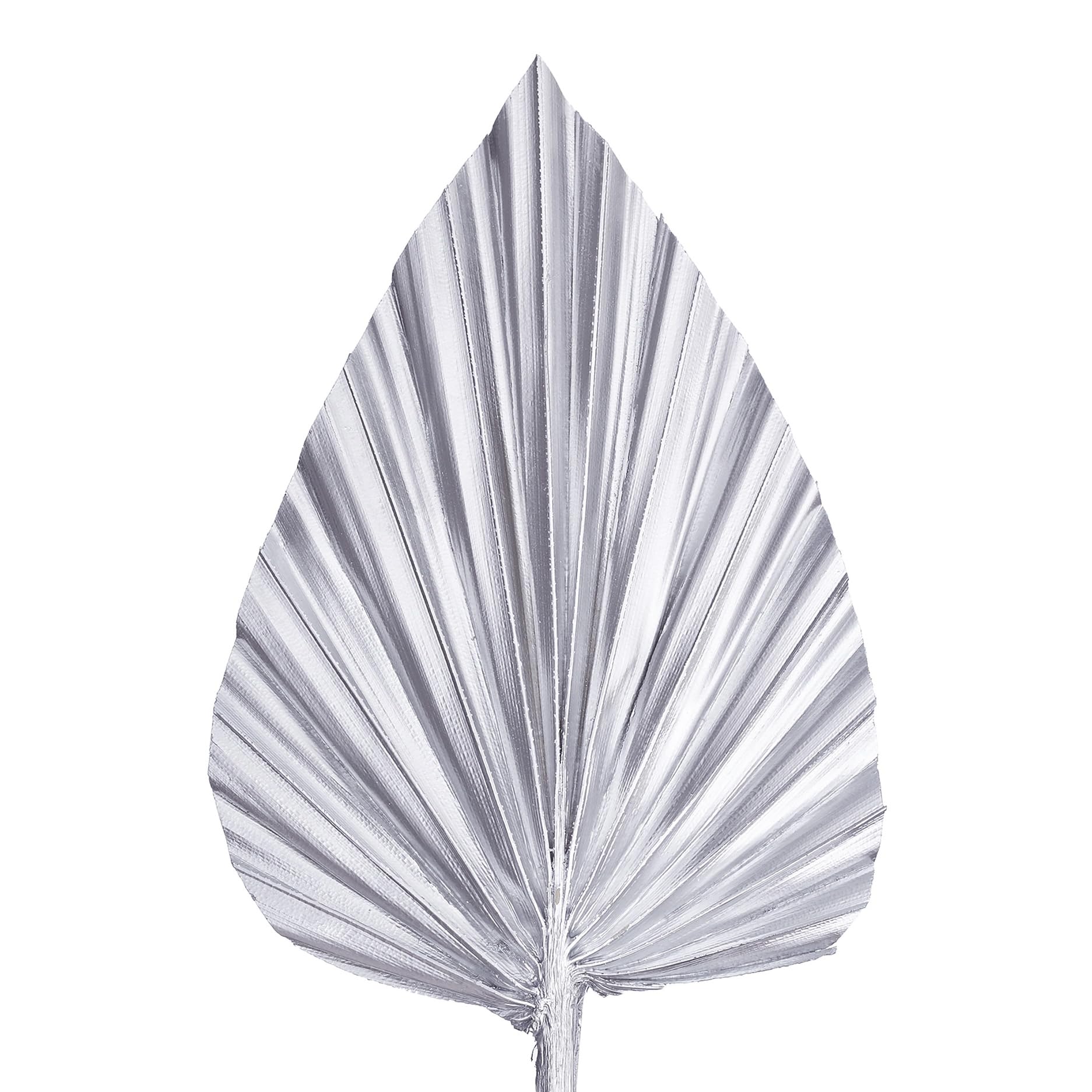The Baked Studio - Dried Palm Leaf Leaves Palm Spear Cake Topper for Cake Decoration (Silver) โ image 1