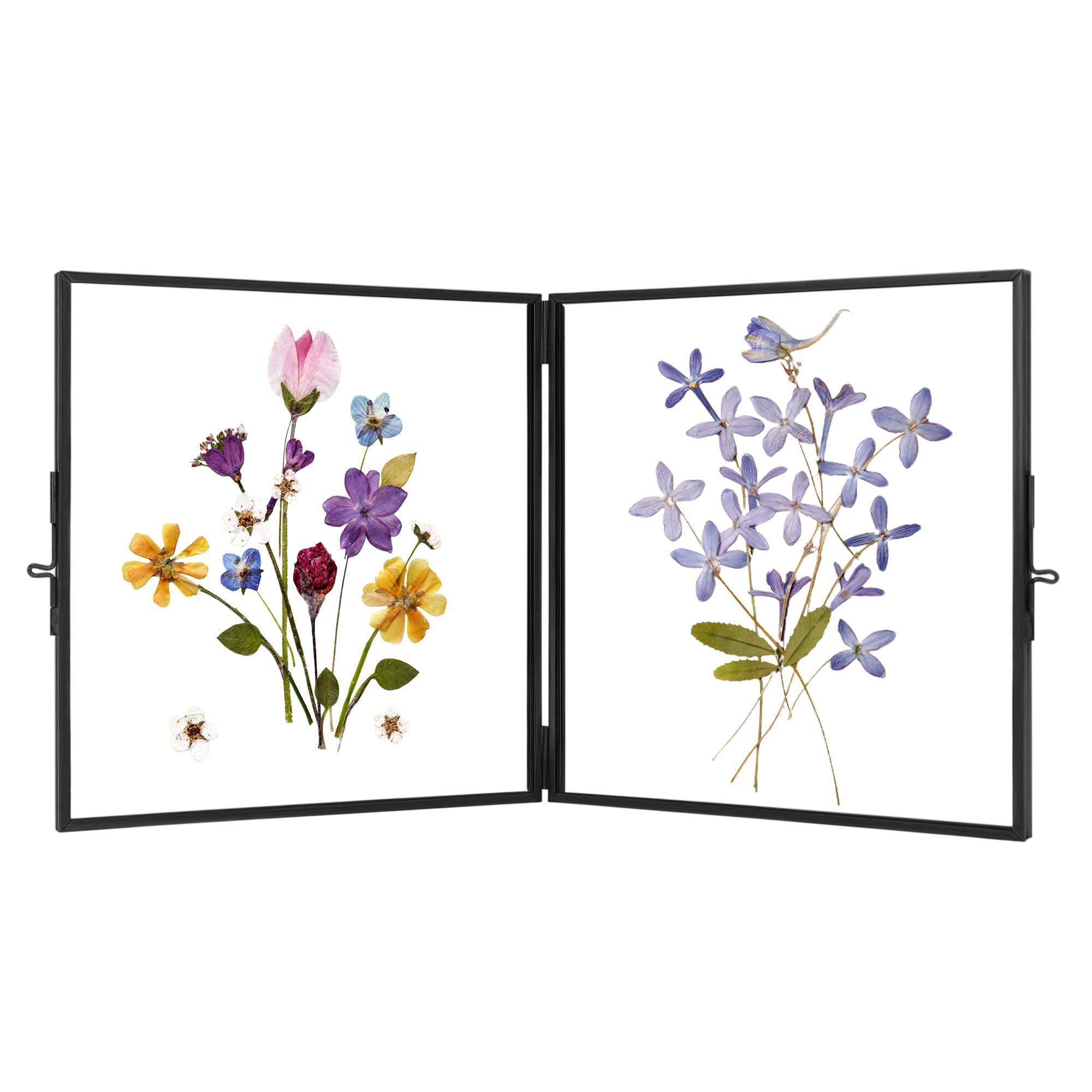 REDHUGOGlass Double Press Flower Frame Square