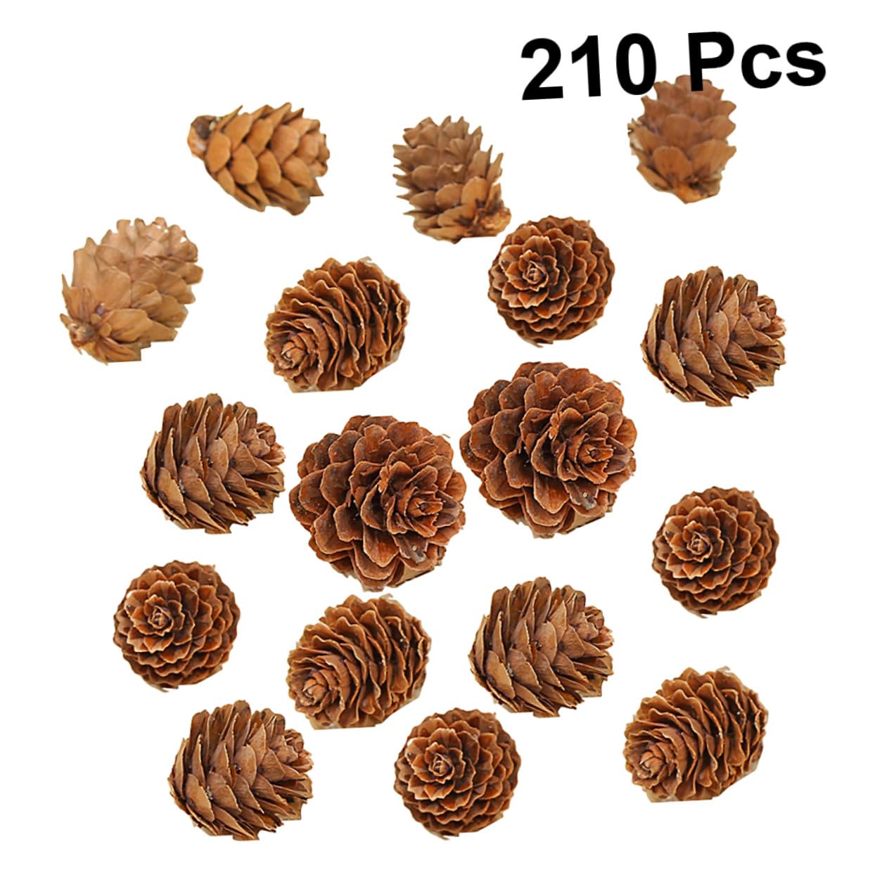210 Piezas Mini Piñas Naturales para Decoración Navideña y Hogar Rústico Adornos Secos para Manualidades y Otoñal