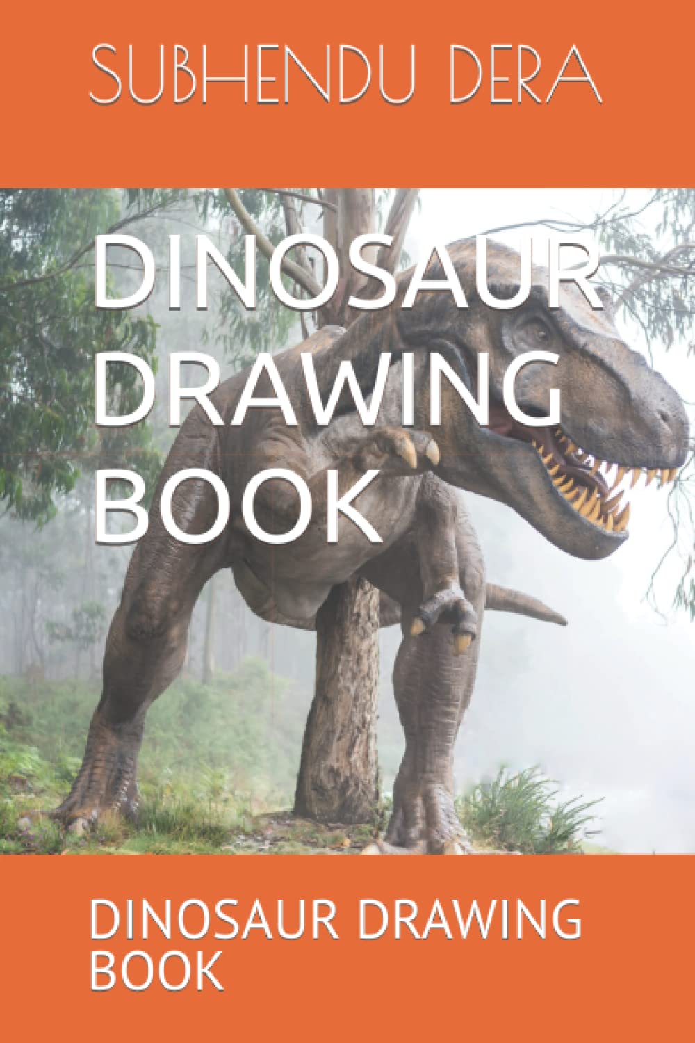 DINOSAUR DRAWING BOOK