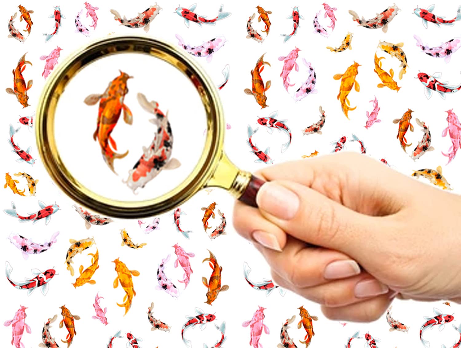 FLONZNAIL Nail Stickers Decal Transfers (5 Sheets) Colorful Koi Fish Vintage Watercolor Illustration