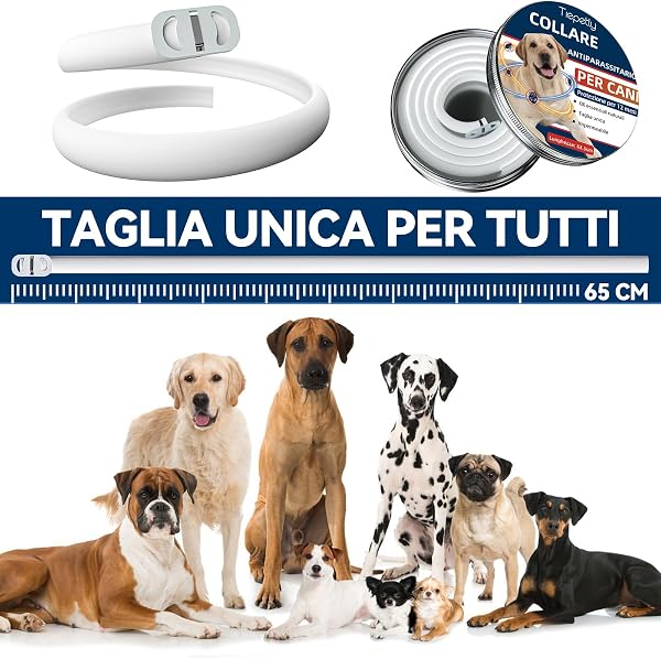 Collare Antiparassitario Regolabile Per Cani, Impermeabile, Con Oli Essenziali Naturali. Aiuta Contro Pulci E Zecche, Adatto A Cani Di Tutte Le Taglie, Protezione Fino A 12 Mesi - 4