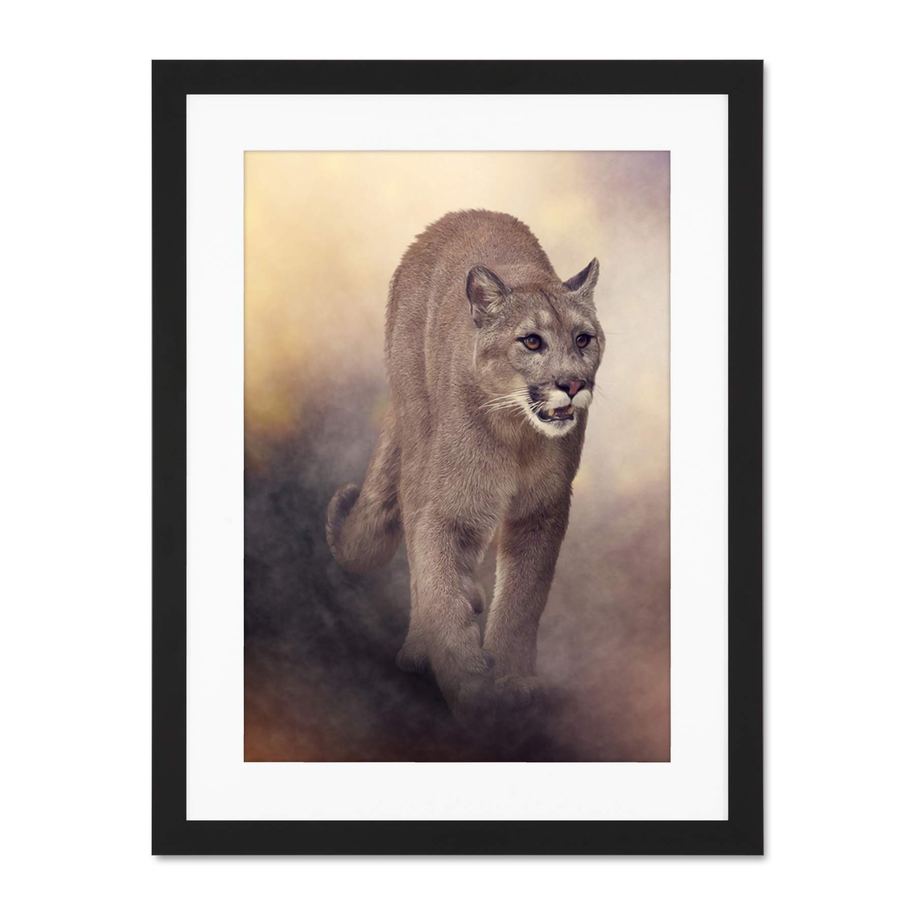 Wee Blue Coo Mountain Lion Cougar Illustration Large Framed Art Print Wall Poster 18x24 inch