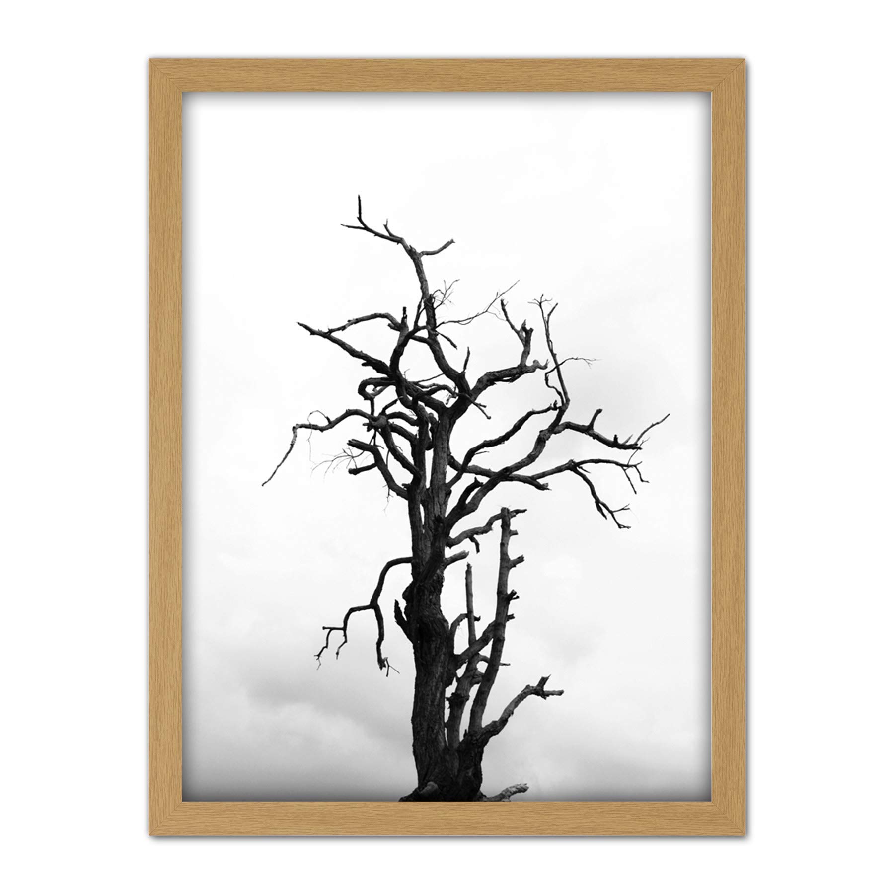 Artery8 Lone Dead Tree Silhouette Black White Artwork Framed Wall Art Print 18X24 Inch