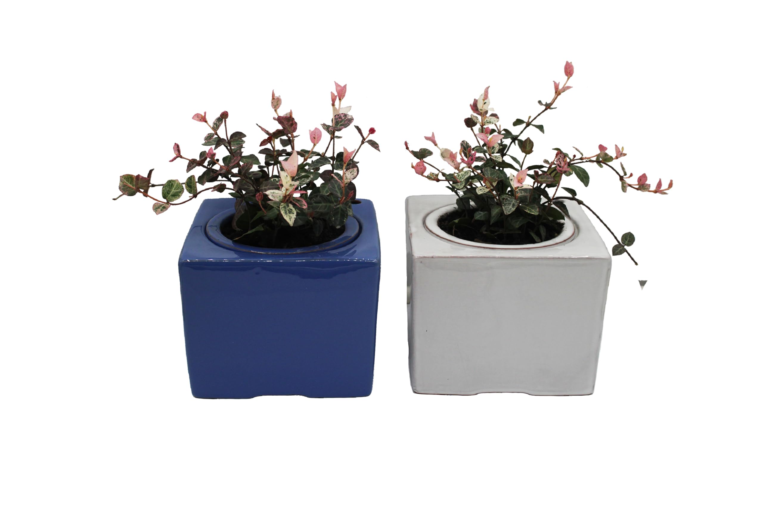 Cotta Planters 2-Pack Ceramic African Violet Self Watering Pot 6 Inch Square Pot 3.5 Inch Innter Pot Easy Fill Water Reservoir White Blue