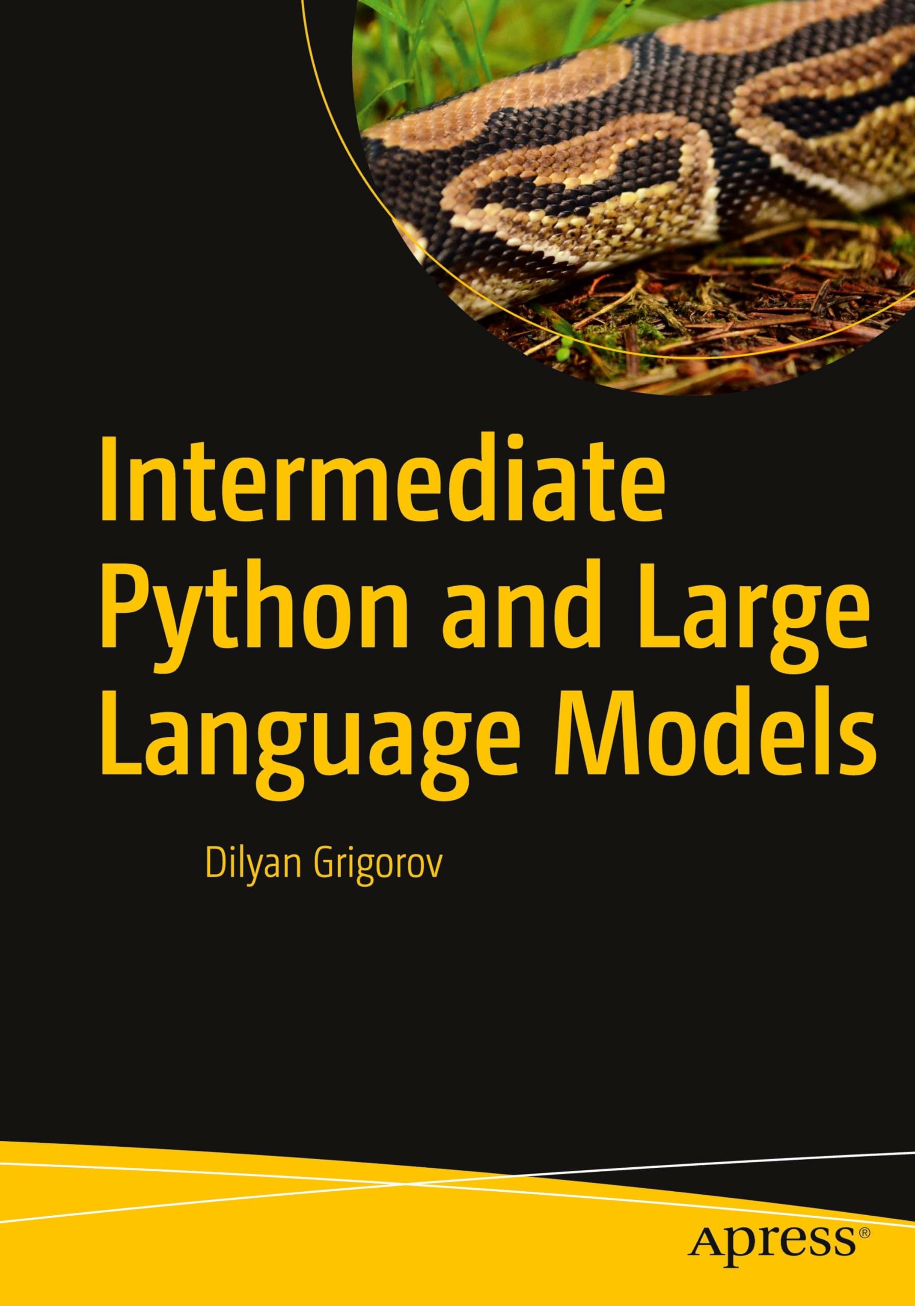 Intermediate Python and Large Language Models