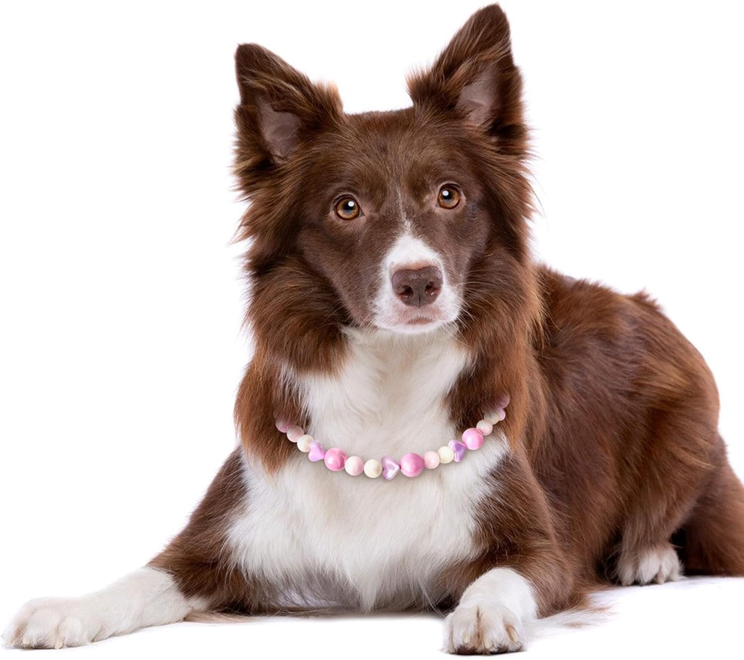 Sweet Pink Dog Necklace – Cute Decorative Jewelry Collar for Stylish Dogs, Perfect for Photos, Gifts & Special Moments