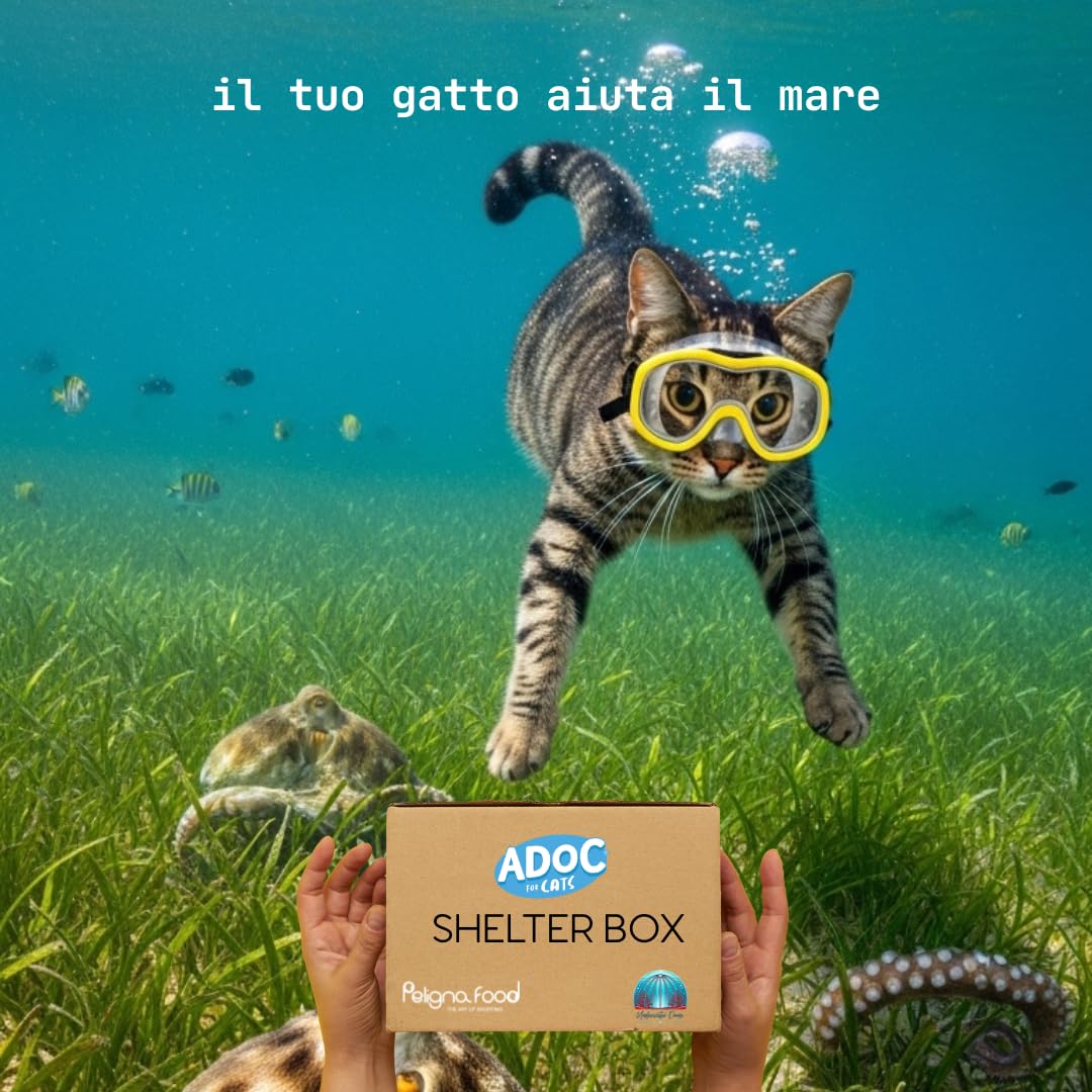 ADoC Cat Gatto Cibo Umido per Gatti SHELTER MIX MARE 24 Lattine DA 85 gr varietà di ricette di tonnetto: 12 Alicette BIANCHETTI, 8 GAMBERETTI, 4 SPIGOLA