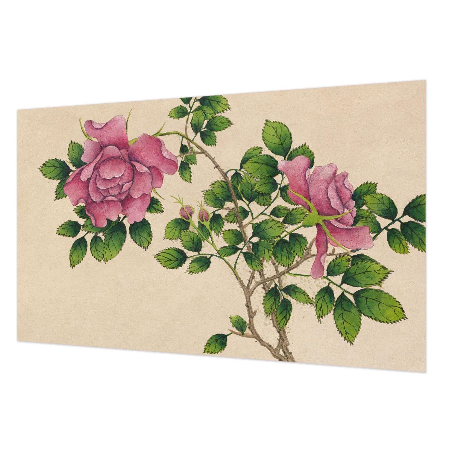 Décor mural intissé pour chambre à coucher motif roses romantiques