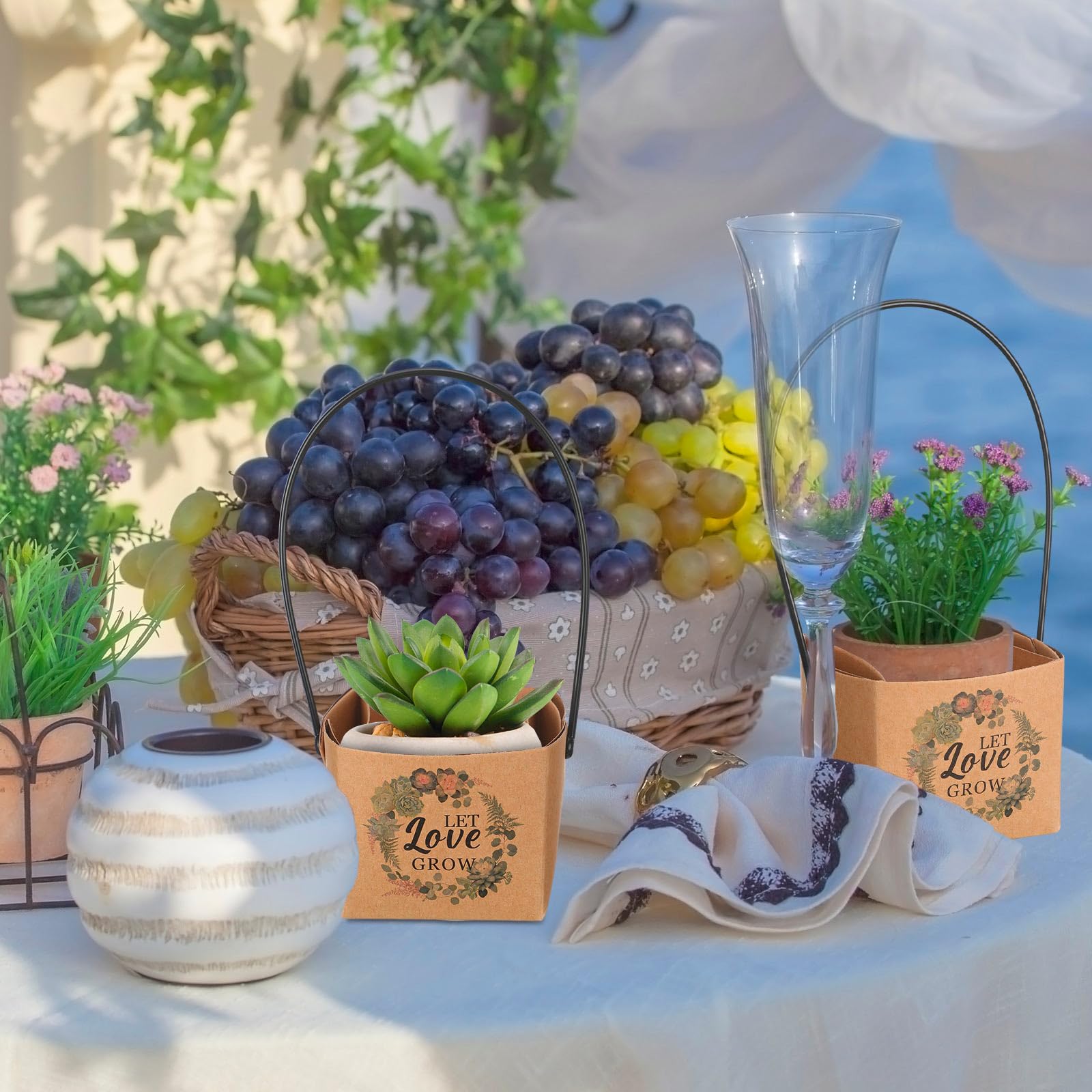 mini succulent pot Mini Succulents (2in pots) – In Succulent Love main image 1