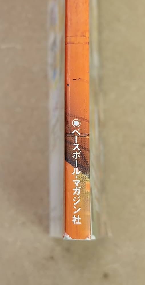 イタリア語 洋書 / ボクシングの歴史 古代ギリシャからマイク・タイソンまで ALL-TIME BOXING・歴代グレートの結集 重量級編 (B・B MOOK 174