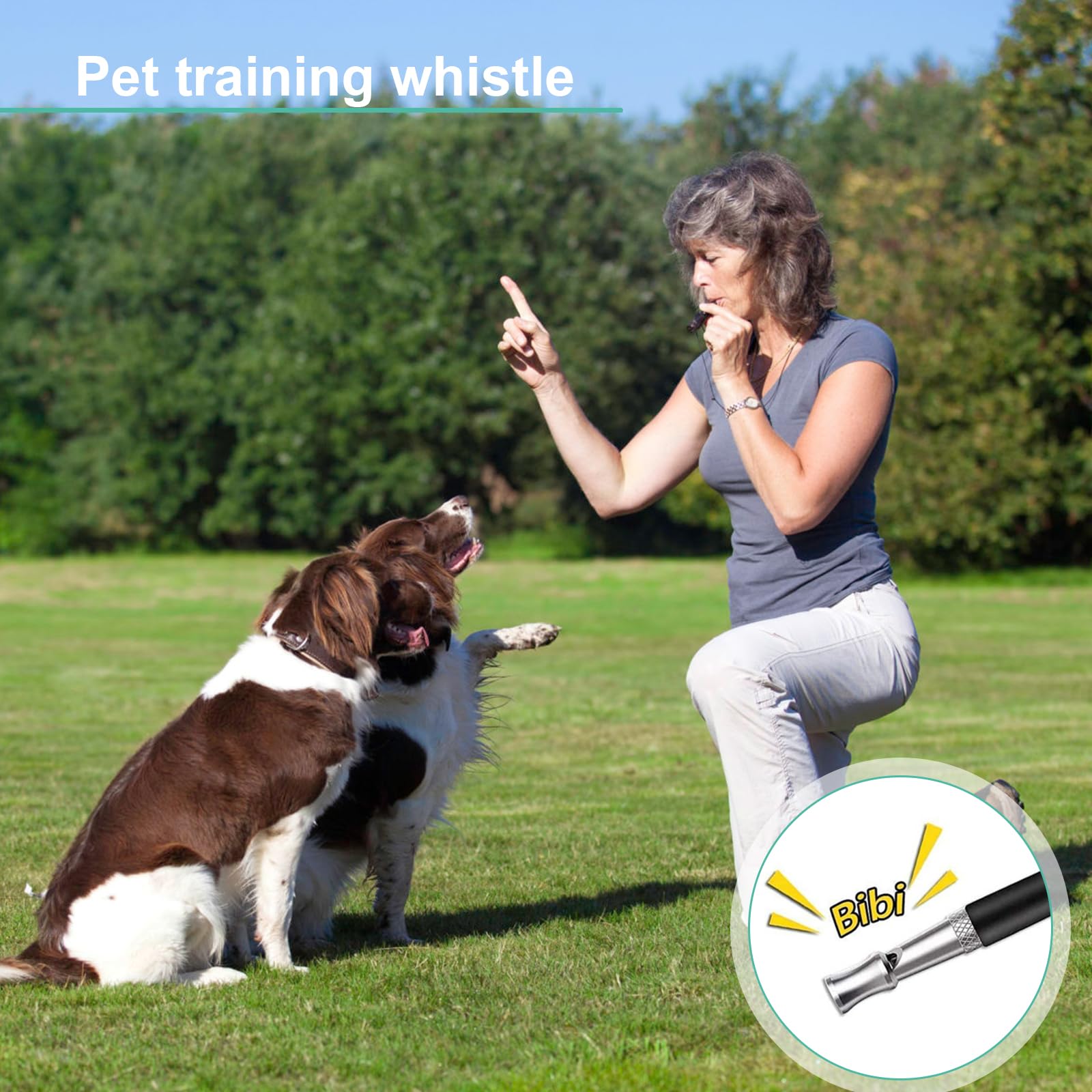 Sifflet Ultrason Chien, Sifflet Chien Rappel, Sifflet Chien avec 2 Longes, Sifflet Ultrason Chien Anti Aboiement, Fort et Longue Portée, Sifflet pour Dressage de Chien (Noir, Blanc)