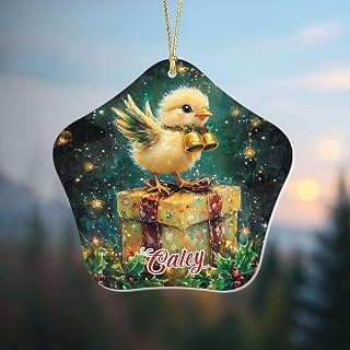 Personalized Chick Christmas Hanging Ornament, 2D Shaped Acrylic Ornament with Custom Name, Gift for Boy Girl, Customized Baby Chicken Christmas Decoration, Unique Chick Xmas Decor