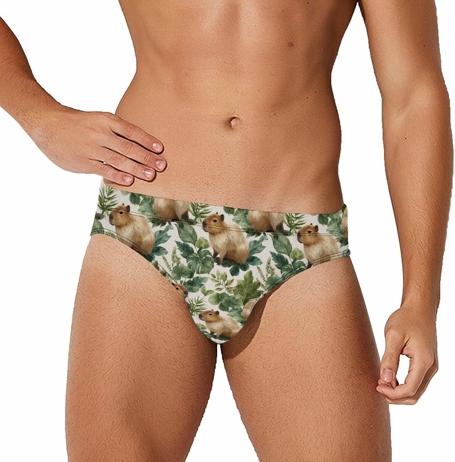 BCapybara Leaves Funny Men's Swimsuit Brief Sexy Bikini Briefs Retro Printed Swimwear Quick Dry Swimming Trunks 3X-Large