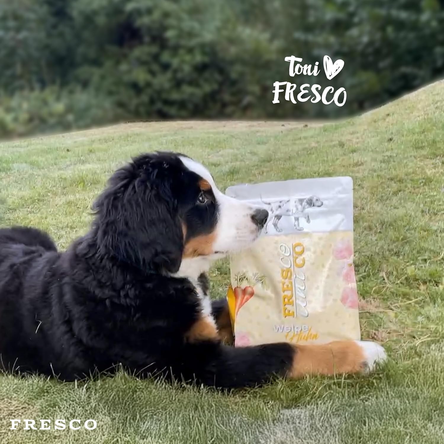 FRESCO Dog Unico Huhn 5kg | Welpenfutter Trockenfutter für Hunde | Hoher Frisch-Fleischanteil 65% & Gemüse | Hundefutter trocken Junior | Mono-Protein & hohe Verträglichkeit | 2,5kg Doppelpack