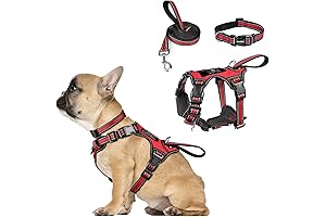WINSEE Reflective French Bulldog Harness and Leash Set
