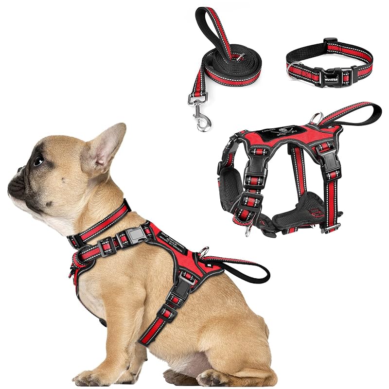 Peitoral ajustável para cães com coleira e guia refletivas WINSEE, Tamanho Small, Red