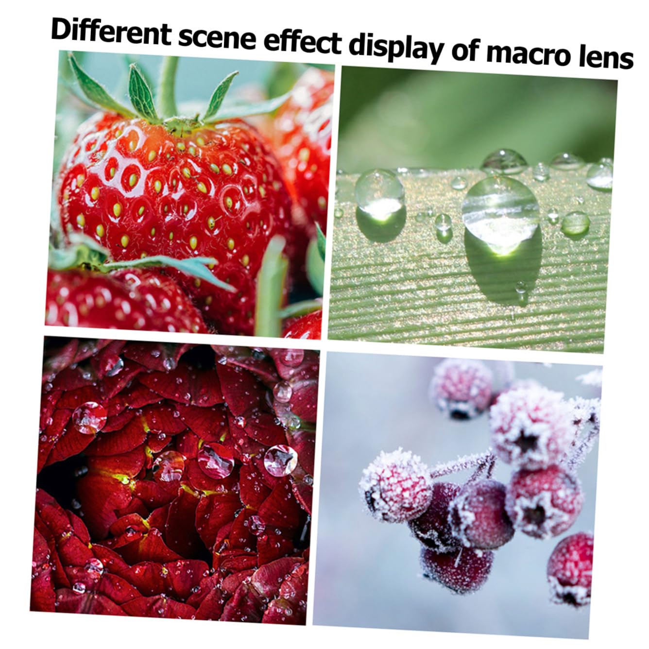 Obiettivo Macro 37mm per Smartphone 15x con Clip 4k Nero | Lega di Alluminio e Lente Ottica, per Fiori e Gioielli, Dettaglio Ravvicinato per Fotografia Professionale