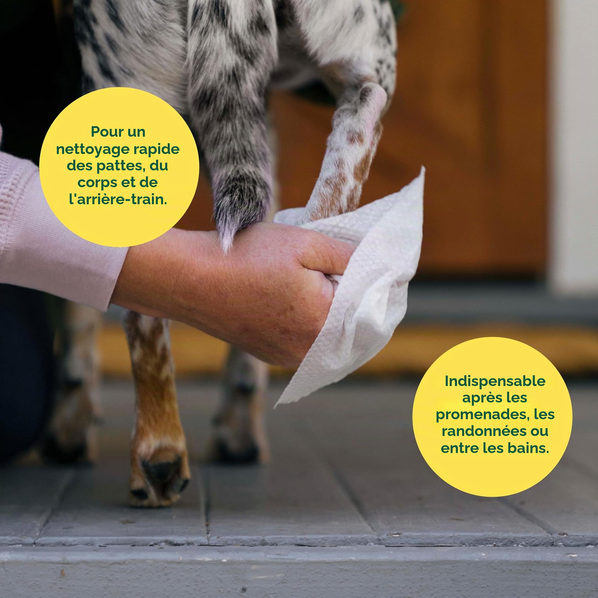 Earth Rated Lingettes hypoallergéniques pour Chiens, nettoyantes et Anti-odeurs, pour Pattes, Corps et arrière-Train, parfaites pour Chiots et Chiens Adultes, Parfum Lavande, 400 lingettes