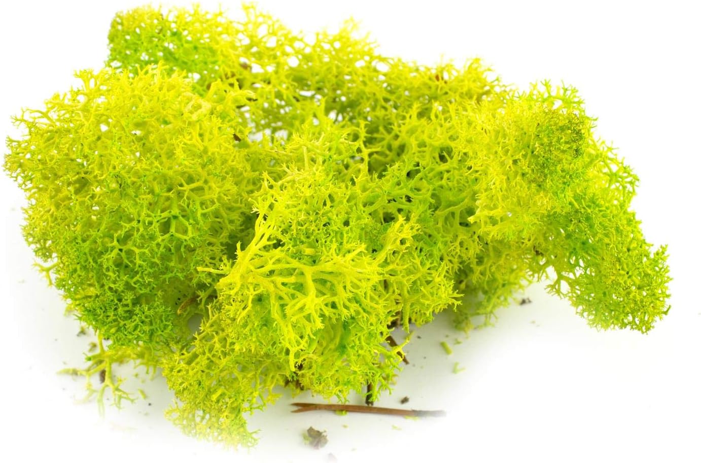 War World Scenics Lichen Moss Model Foliage Multi-Pack 3 x 60g (Light Green, Dark Green, Brown) –Railway Modelling Wargame Basing Scenery Landscape Trees Bushes Hedges Diorama