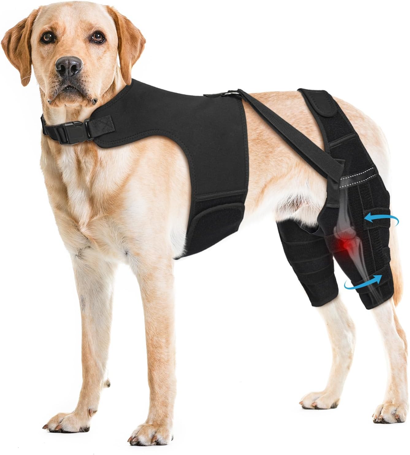 Dog Knee Brace for Torn ACL Hind Leg, Adjustable Dog Leg Braces for Back Leg with 4 Metal Stabilizers Helps with Torn CCL, Luxating Patella, Ligament Injuries, Hip Dysplasia, XXL