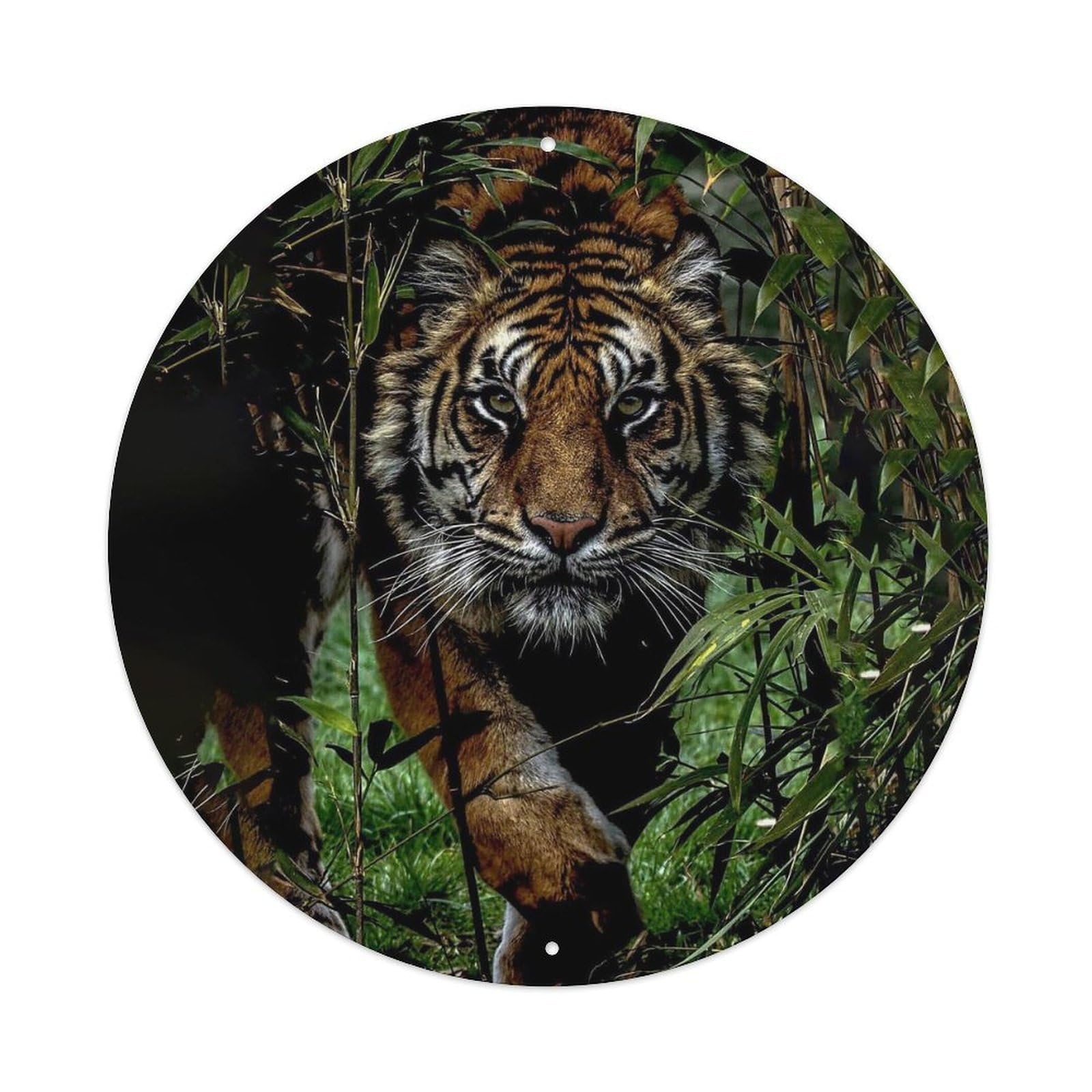Wild Tiger Jungle Wildlife Predator Vintage Metal Tin Sign