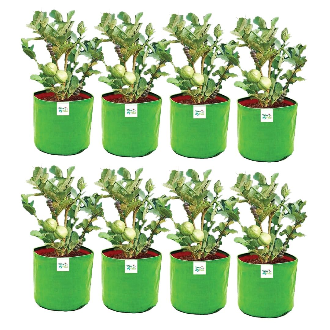 See full amazon price history chart for URBAN PETALS 18X18Inches Big Size Grow Bag for Fruits & Vegetables | 280 GSM | Pack of 8 | 10 Years Long Life URBAN PETALS 18X18Inches Big Size Grow Bag for Fruits & Vegetables | 280 GSM | Pack of 8 | 10 Years Long Life (B0CSG4Z7VP) Amazon Price History, Amazon Price Tracker