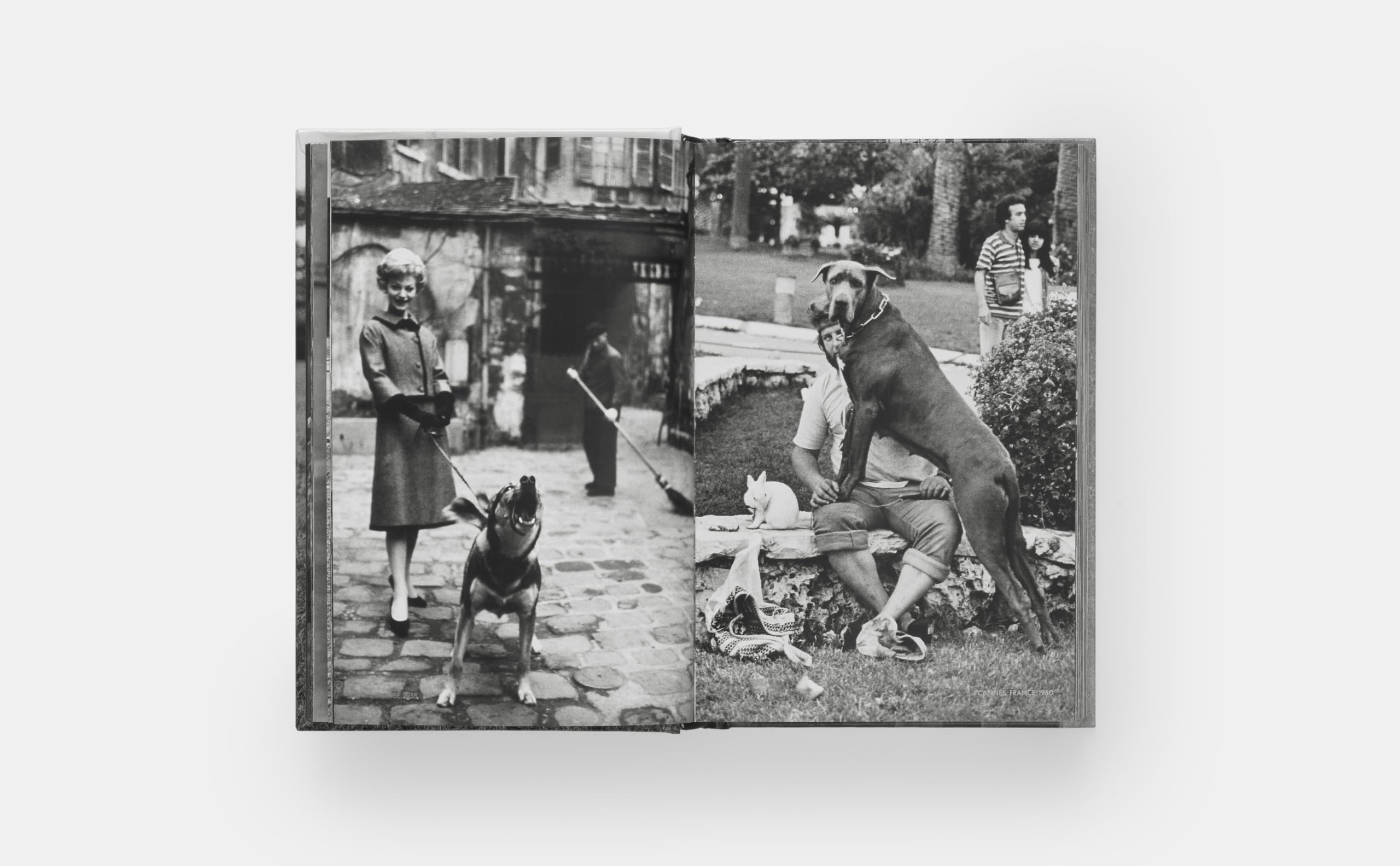 Dogdogs (PHOTOGRAPHY)