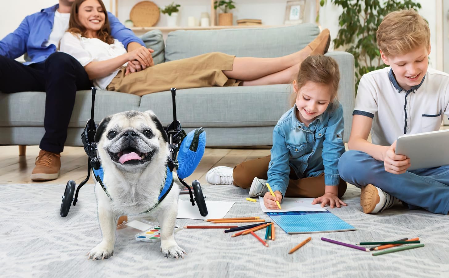 pet Wheelchair for Back Legs,Suitable for Back Legs,Cart Doggy Wheelchair for Disabled Legs Walking Mobility,Cat/Dog Hip Brace Leg Support,