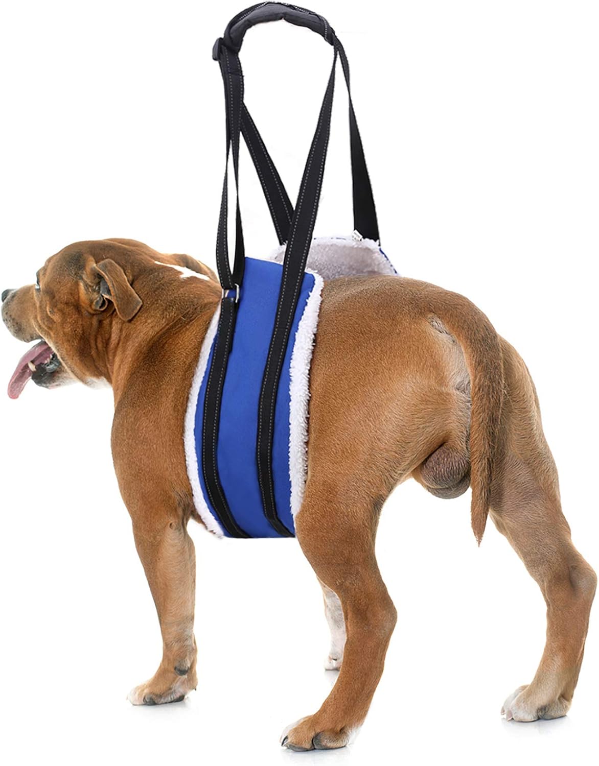 help em up harness amazon