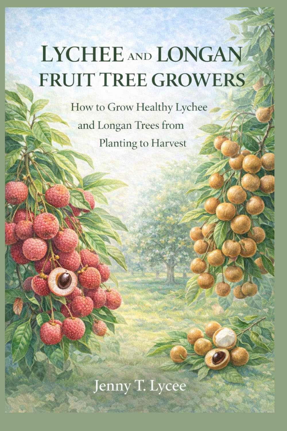 Lychee and Longan Fruit Tree Growers: How to Grow Healthy Trees from Planting to Harvest