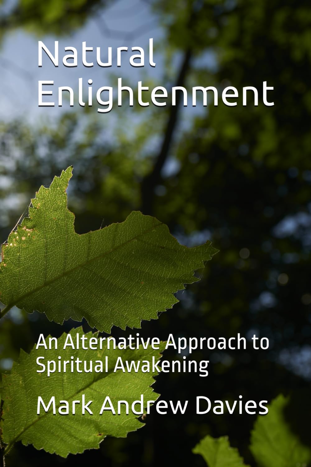 Natural Enlightenment: An Alternative Approach to Spiritual Awakening